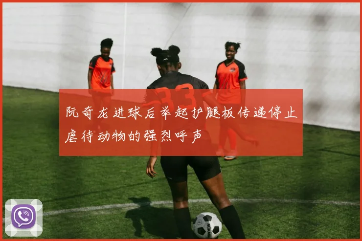 阮奇龙进球后举起护腿板传递停止虐待动物的强烈呼声