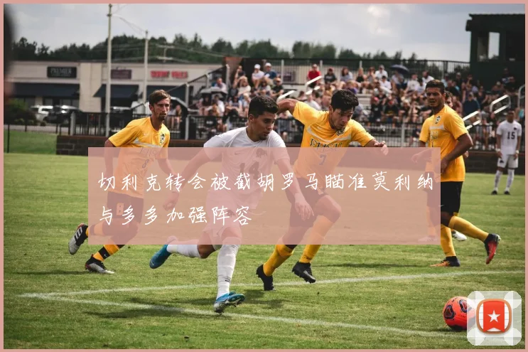 切利克转会被截胡罗马瞄准莫利纳与多多加强阵容